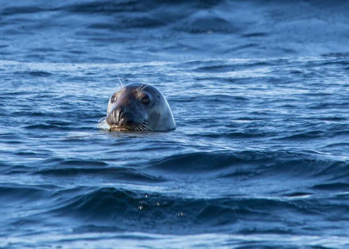 胡木尔伦酒店 酒店 4*