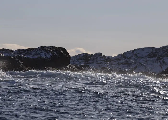 胡木尔伦酒店 酒店 4*